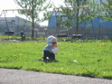 and shades