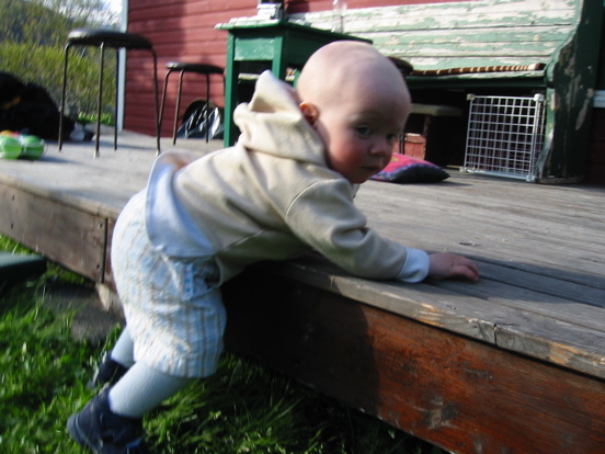 Fyrst ni&eth;ur &aacute; gras