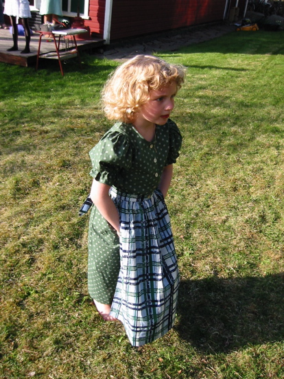 Sko&eth;a kisuna
