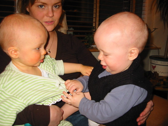 Ari Bj&ouml;rn a&eth; sko&eth;a dudduna m&iacute;na