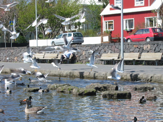 &AElig;rslafullir m&aacute;var