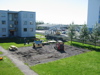 Veri&eth; a&eth; r&uacute;sta gar&eth;inum