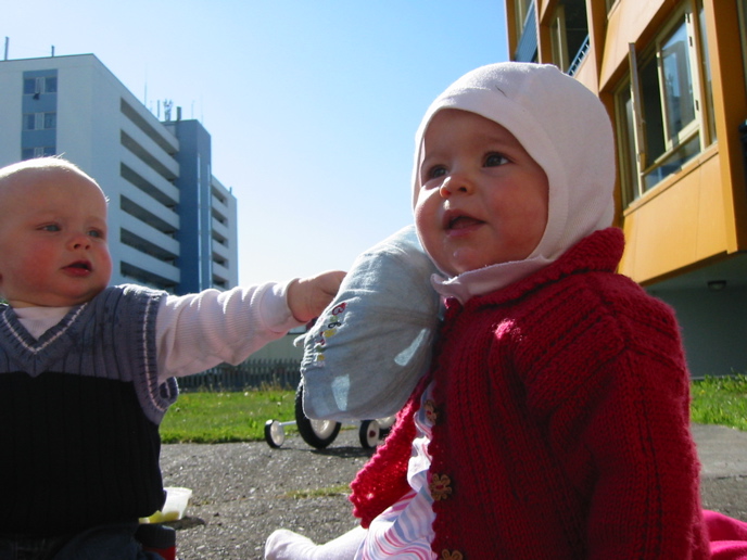 Bjartur er skotinn &iacute; Hei&eth;d&iacute;si H&ouml;rpu
