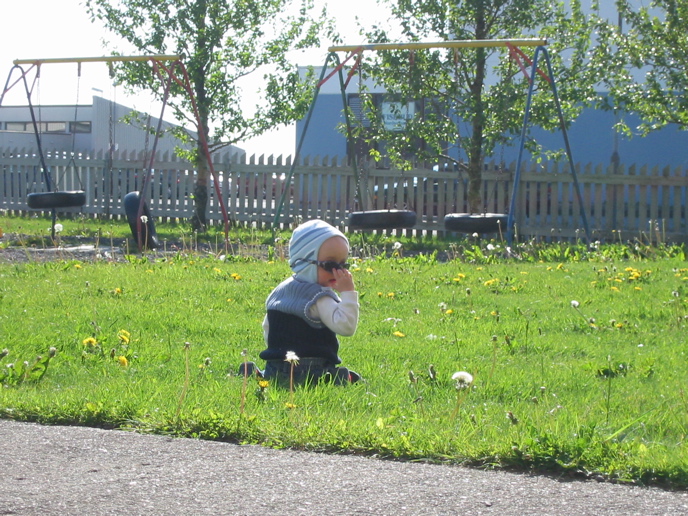 and shades