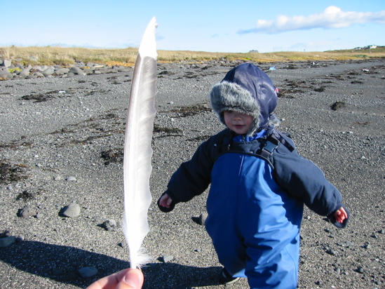 fundum fj&ouml;&eth;ur