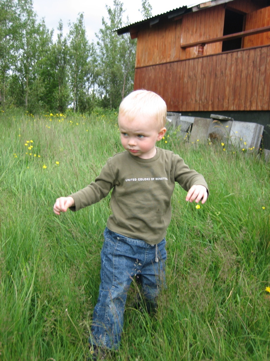 &Iacute; b&uacute;sta&eth; me&eth; Lilju og co