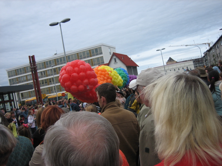 margar bl&ouml;&eth;rur