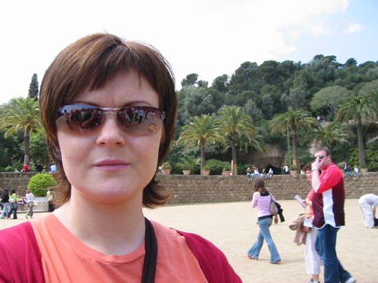 Komin &iacute; Guell Park