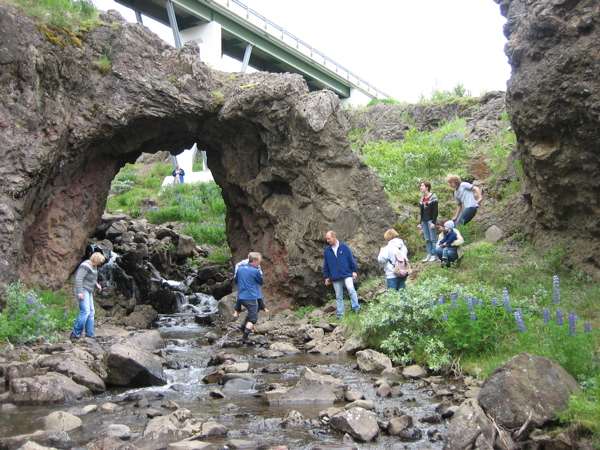 Steingj&aacute;in