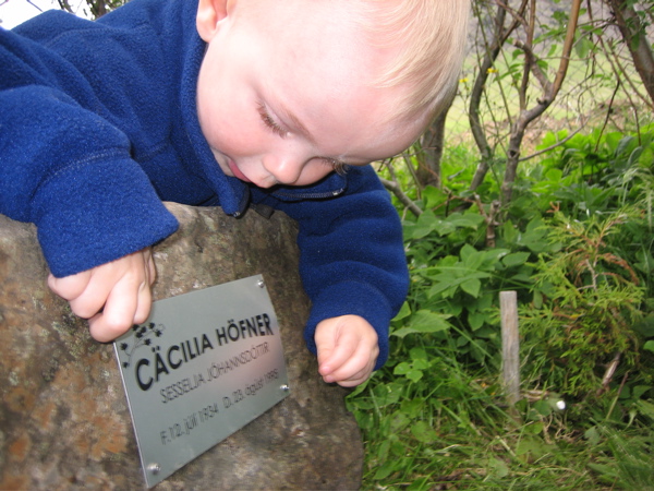 Steinninn sko&eth;a&eth;ur