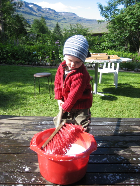 &THORN;r&iacute;fa pallinn
