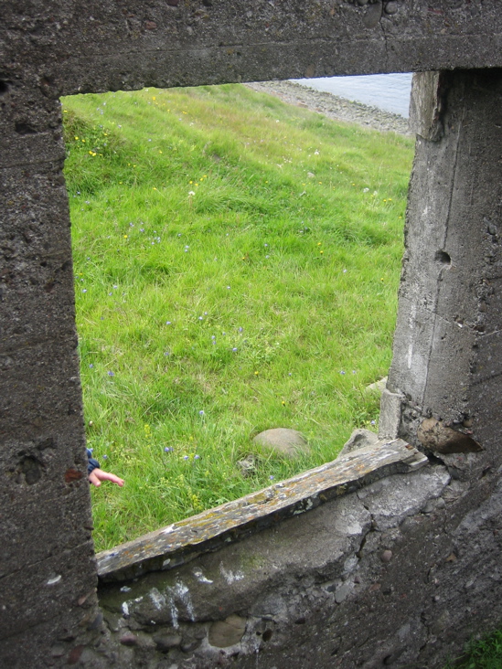 Hver er a&eth; koma &thorn;arna?